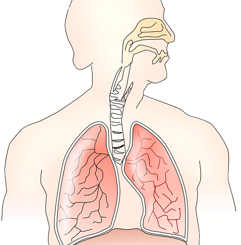 Lung Cancer